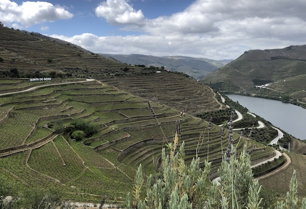 The Douro Valley for wine lovers | Jancis Robinson